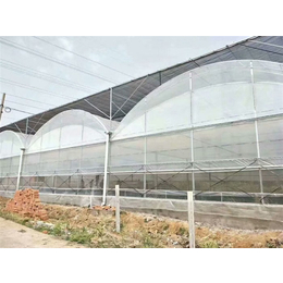 玻璃溫室建設引領現代農業發展 以青州瀚洋農業為例