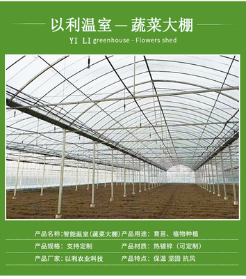 以利農業 專業化設計與一站式服務，打造高效智能的花卉養殖大棚與連棟玻璃溫室