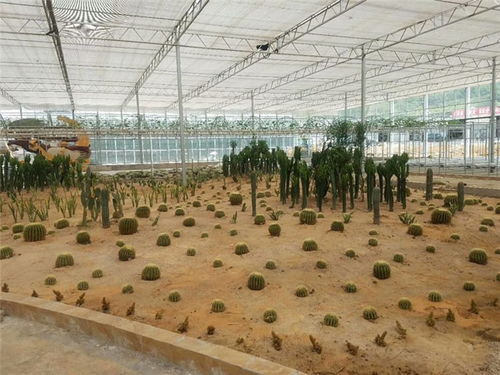 智能溫室助力現代農業發展 青州瀚洋農業的工程設計解析