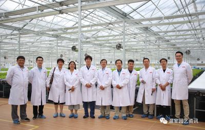 探秘京東植物工廠 產銷一體化，大棚材料與配套設施破解農產品銷售難題