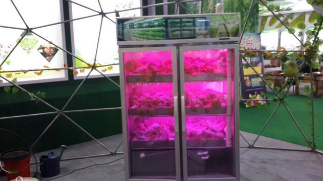 麗水農科院快繁中心 創新農業技術與現代設施設計的深度融合